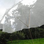Cecilie Bendixen, Pine Crystal, 2024
