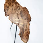 Laura Bergsøe, Wild Maple Silver Relief (America), 2024