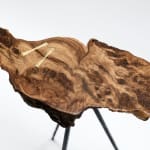Laura Bergsøe, Wild Maple Silver Relief (America), 2024