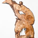 Laura Bergsøe, Wild Maple Silver Relief (America), 2024