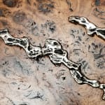Laura Bergsøe, Wild Maple Silver Relief (America), 2024