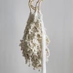 Gjertrud Hals, Tori, 2016