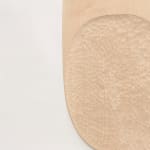 Line Depping, Maple Surface, 2022