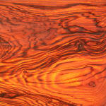 Laura Bergsøe, Wild Maple Silver Relief (America), 2024