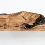 Laura Bergsøe, Wild Maple Silver Relief (America), 2024