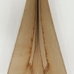 Eske Rex, Book IV, 2019
