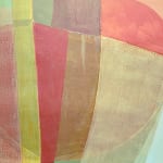 Ky Anderson, Bird Conservation, 2018