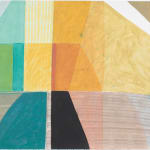 Ky Anderson, Bird Conservation, 2018