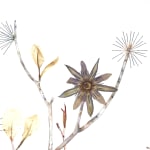 Marilla Palmer, Passionflower, Iris and Bee Balm, 2016