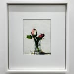 Stanley Bielen, Bearing, 2024