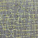 Dana Piazza, Lines 166, 2023