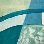 Ky Anderson, Bird Conservation, 2018