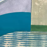 Ky Anderson, Bird Conservation, 2018