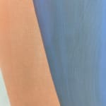 Sarah Hinckley, I Watch Them Bloom 7, 2020