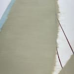 Sarah Hinckley, I Watch Them Bloom 7, 2020