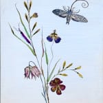 Marilla Palmer, Ethereal Geranium, 2024