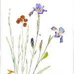 Marilla Palmer, Irises and Sequins, 2023