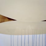 Sarah Hinckley, I Watch Them Bloom 7, 2020