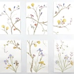 six panel mixed media painting of intricate flowers and butterflies on white background