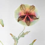 Marilla Palmer, The Hypnotic Bouquet, 2018