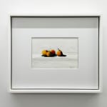 Stanley Bielen, Bearing, 2024