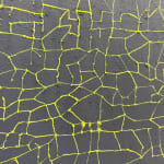 Dana Piazza, Lines 166, 2023