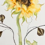 Marilla Palmer, The Hypnotic Bouquet, 2018