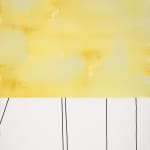 Sarah Hinckley, I Watch Them Bloom 7, 2020