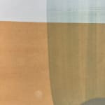 Sarah Hinckley, I Watch Them Bloom 7, 2020