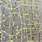 Dana Piazza, Lines 166, 2023