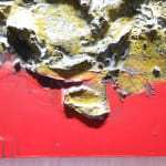 Sylvain Tremblay, Yellow Bird