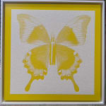 Rubem Robierb, Small Butterflies - Yellow on White