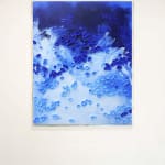 Neill Wright, Within The Trees, 2023