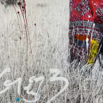 Arno Elias, Wild and Free - 3/9
