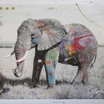 Arno Elias, Wild and Free - 3/9