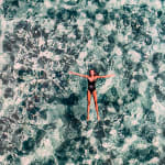 Cécile Plaisance, View from the Sky: PLANCHE Daddy Board (6,7") "Fins & Whale Shark")