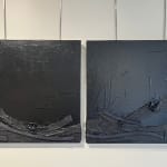 Paul Ecke, Zeke Series - Spa
