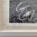 Arno Elias, Wild and Free - 3/9
