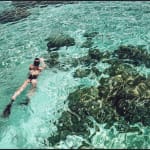 Cécile Plaisance, View from the Sky: PLANCHE Daddy Board (6,7") "Fins & Whale Shark")