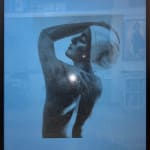 Carole A. Feuerman, Shower Portrait - Tan