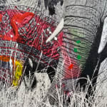 Arno Elias, Wild and Free - 3/9