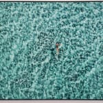 Cécile Plaisance, View from the Sky: PLANCHE Daddy Board (6,7") "Fins & Whale Shark")
