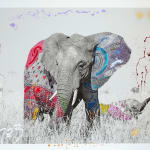 Arno Elias, Wild and Free - 3/9