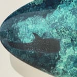 Cécile Plaisance, View from the Sky: PLANCHE Daddy Board (6,7") "Fins & Whale Shark")