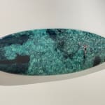 Cécile Plaisance, View from the Sky: PLANCHE Daddy Board (6,7") "Fins & Whale Shark")