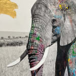 Arno Elias, Wild and Free - 3/9