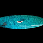 Cécile Plaisance, View from the Sky: PLANCHE Daddy Board (6,7") "Fins & Whale Shark")