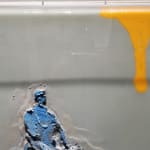 Sylvain Tremblay, Yellow Bird