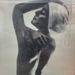 Carole A. Feuerman, Shower Portrait - Tan
