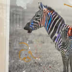 Arno Elias, Wild and Free - 3/9